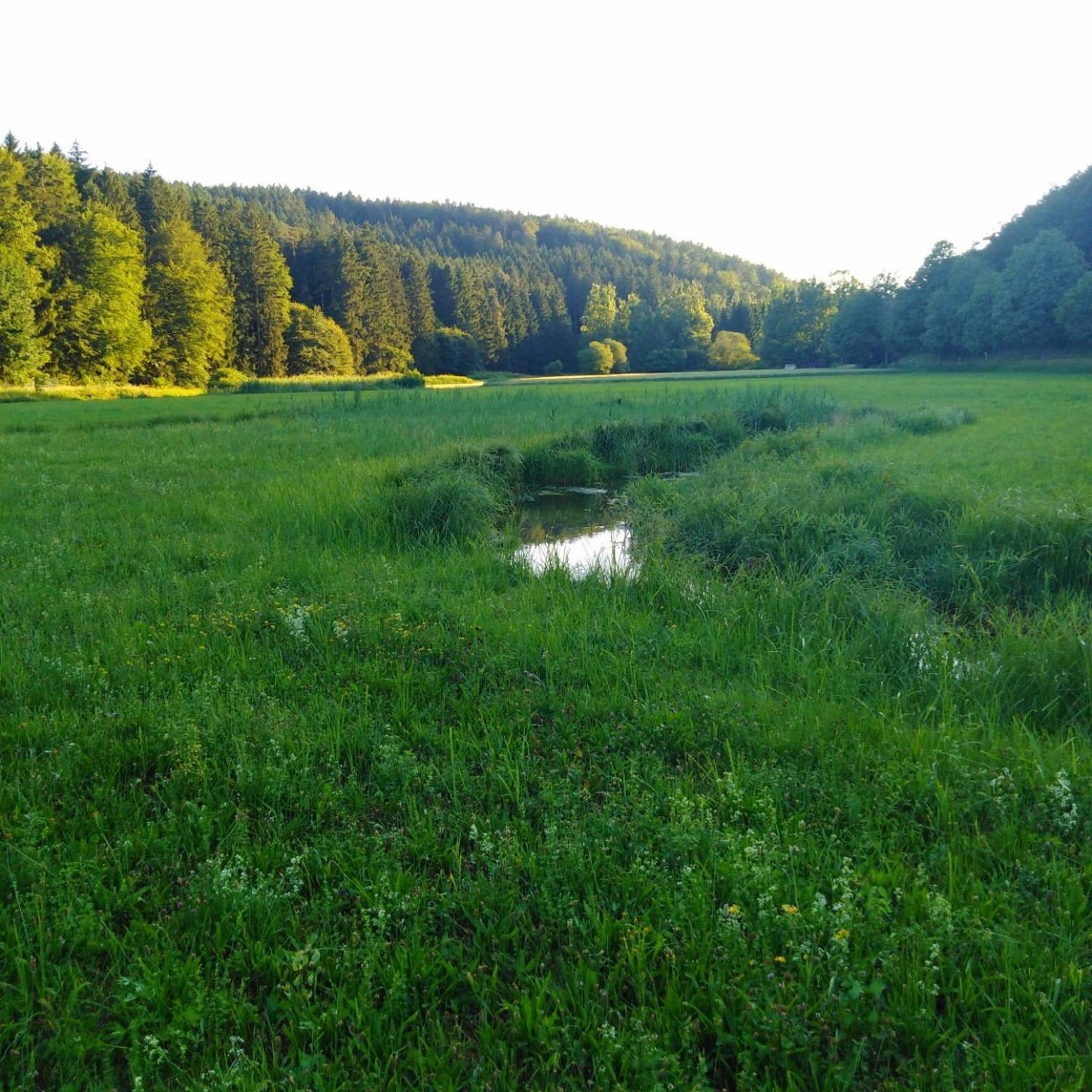 Ferienhaus Am Bach Mit Grossem Garten Deuerling Екстериор снимка